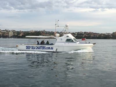 Deep Sea Fishing Charter Boat Reef Runner