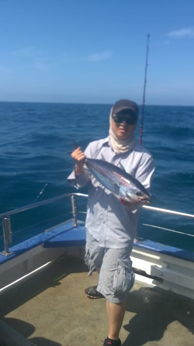 Great kingfish